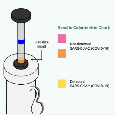 SnapDx results